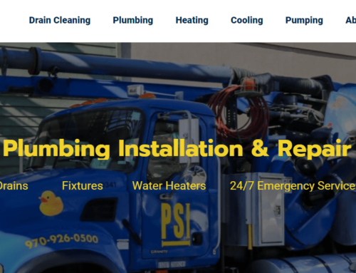 Plumbing Systems Inc. (PSI)